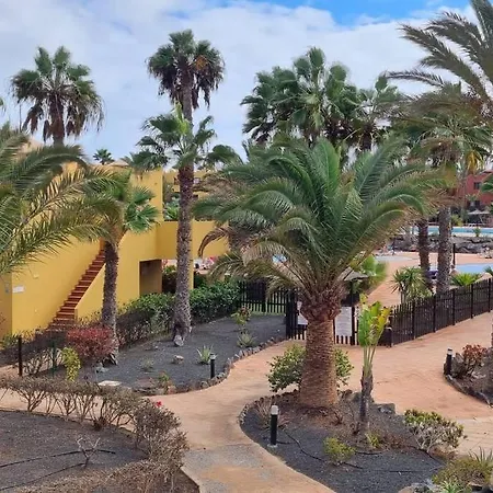 Bouganville Con Terrazza E Piscina