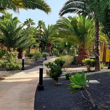 شقة Bouganville - With Terrace & Shared Pool *